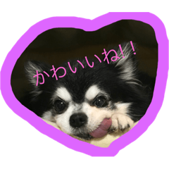 [LINEスタンプ] 庭の石