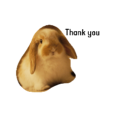 うさぎのミルク(写真)