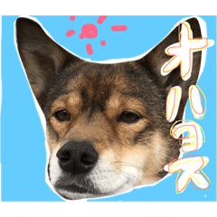 [LINEスタンプ] せつせつすたんぷ