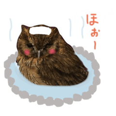 [LINEスタンプ] アカラさんの日常