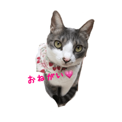 [LINEスタンプ] ルーシーラブ