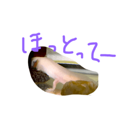 [LINEスタンプ] 暇じー
