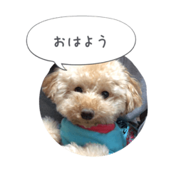 [LINEスタンプ] モカスタンプ1
