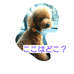 [LINEスタンプ] プー子