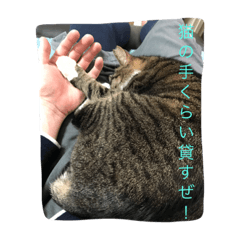 [LINEスタンプ] ゆずキキ