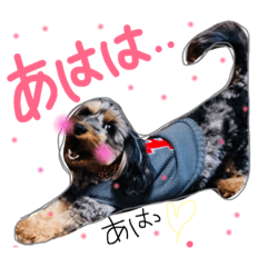 [LINEスタンプ] らんころ 日常