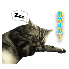 [LINEスタンプ] ココナッツ_5972