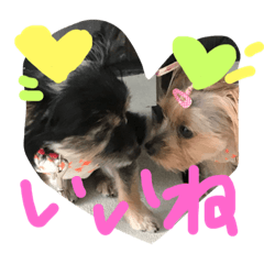 [LINEスタンプ] みみとるる