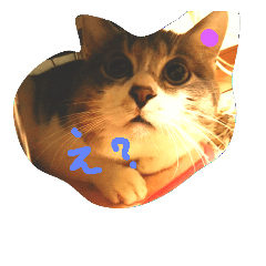 [LINEスタンプ] ruichansan