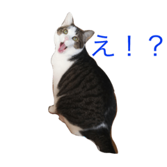 [LINEスタンプ] ジルくんのまいにち