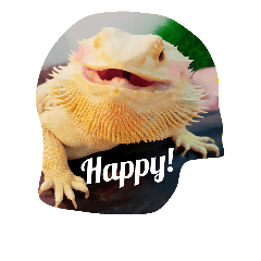 [LINEスタンプ] Kee and Bash Bearded Dragons