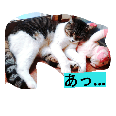 [LINEスタンプ] NEKOnoKURO