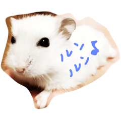 [LINEスタンプ] はむすの日常