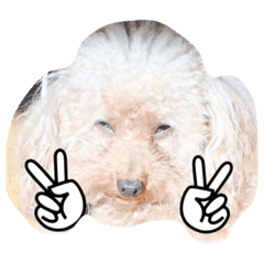 [LINEスタンプ] Ron stamp