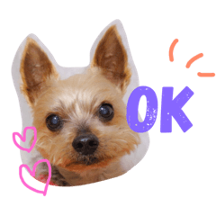 [LINEスタンプ] muku.