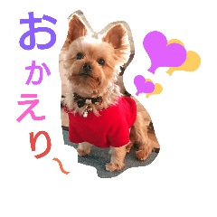 [LINEスタンプ] Kswaii dog4