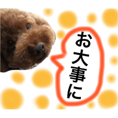 [LINEスタンプ] 愛犬と生活