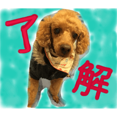 [LINEスタンプ] miiiko's fam