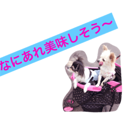 [LINEスタンプ] ももららの日常