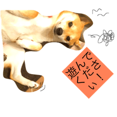 [LINEスタンプ] ライチらいふ