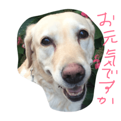 [LINEスタンプ] Loveco3