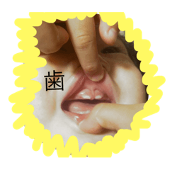 [LINEスタンプ] はがはえてきたよーーーー！