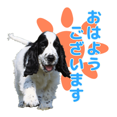 [LINEスタンプ] ペンタです