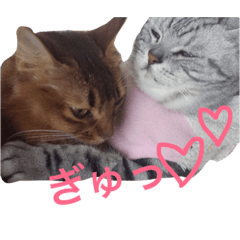 [LINEスタンプ] 武蔵と愛姫