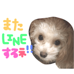 [LINEスタンプ] Tino's stamp 2