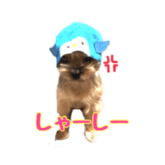 [LINEスタンプ] うどんの日常 筑豊弁2