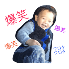 [LINEスタンプ] しゅんしゅんしゅん