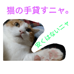 [LINEスタンプ] タマスケとシロサンのスタンプ弐