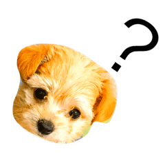 [LINEスタンプ] れもんちゃん☆