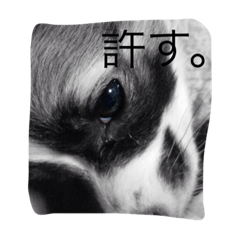 [LINEスタンプ] 使える！チップの成長記録⑶