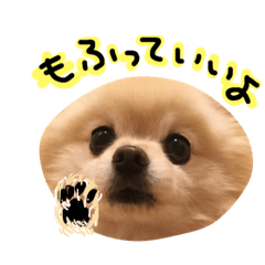 [LINEスタンプ] ぽめ気持ちを伝えるみくも 新