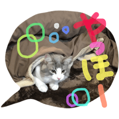 [LINEスタンプ] my cat love roki＆arisu