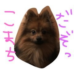 [LINEスタンプ] こまちすたんぷ