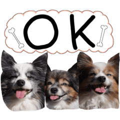 [LINEスタンプ] あびりむさら