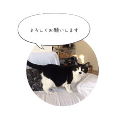 [LINEスタンプ] メロンちゃんとお話し。