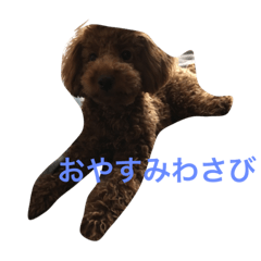 [LINEスタンプ] わさびの日常生活スタイル