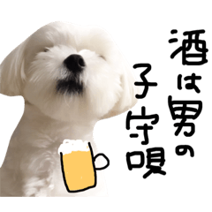 [LINEスタンプ] エブリデイ★チャロ吉どん