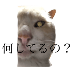 [LINEスタンプ] おこげちゃん