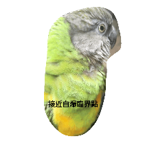 [LINEスタンプ] Niu Niu 01