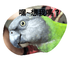[LINEスタンプ] ebeb