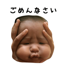 [LINEスタンプ] 日常的に使えるうちの子スタンプです。