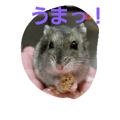[LINEスタンプ] akahamuhamu