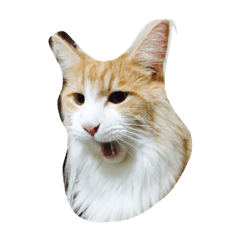 [LINEスタンプ] ラテくんと一緒