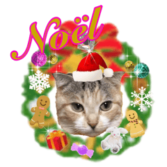 [LINEスタンプ] 三毛猫ももちゃんのクリスマス