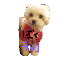 [LINEスタンプ] love choco 