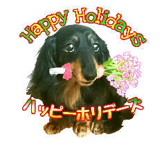 [LINEスタンプ] 可愛いダックスフンドのこころちゃん